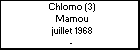 Chlomo (3) Mamou