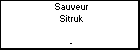 Sauveur Sitruk