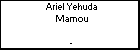 Ariel Yehuda Mamou