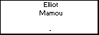 Elliot Mamou