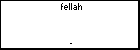 fellah 